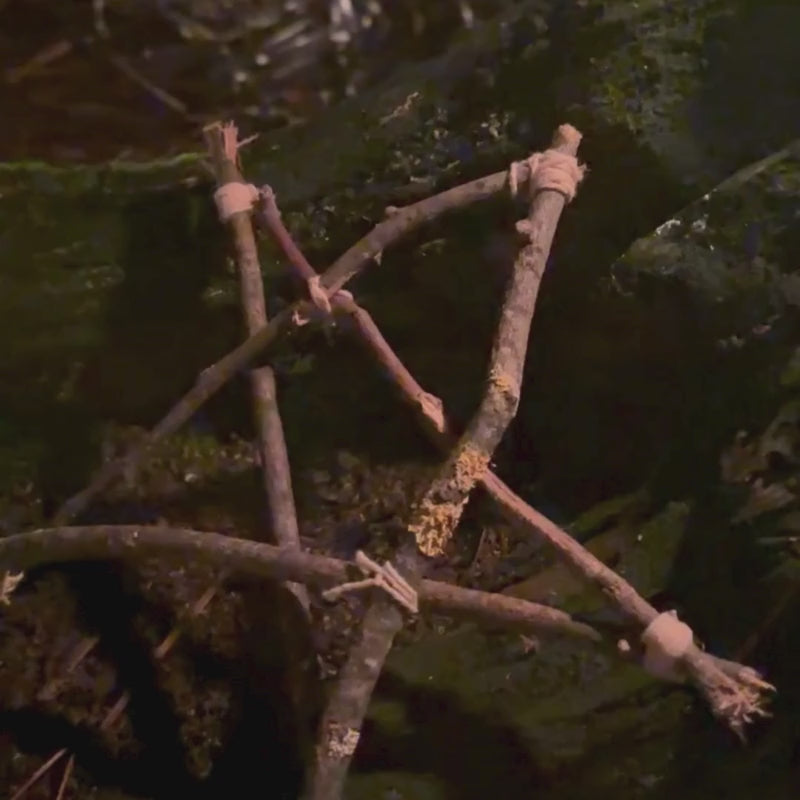 vidéo bénédiction de nouvelle année | Sorcière Moderne